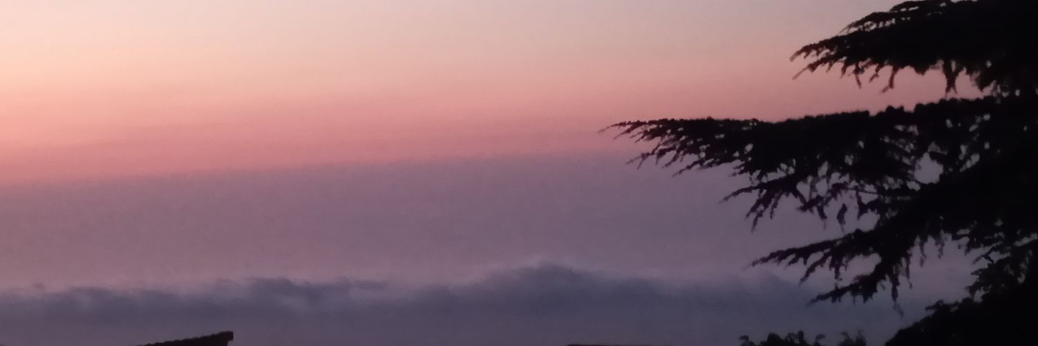 callmenari_'s profile banner image