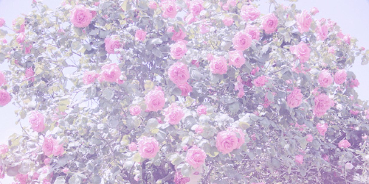 amwajj33's profile banner image