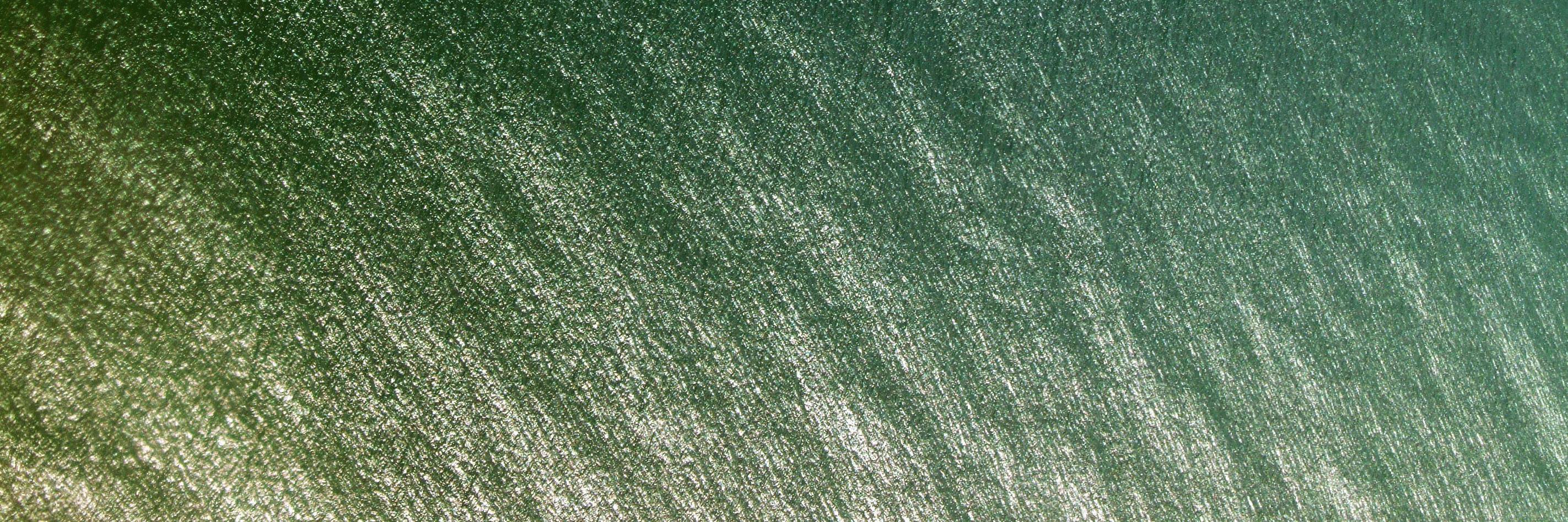 Prof Dr Hartmut Pohl banner