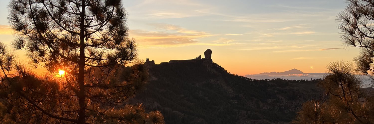 Hugo Báez 🇮🇨 banner