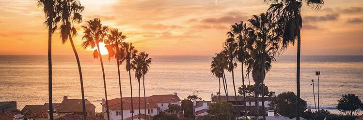 SafeWordApples's profile banner image