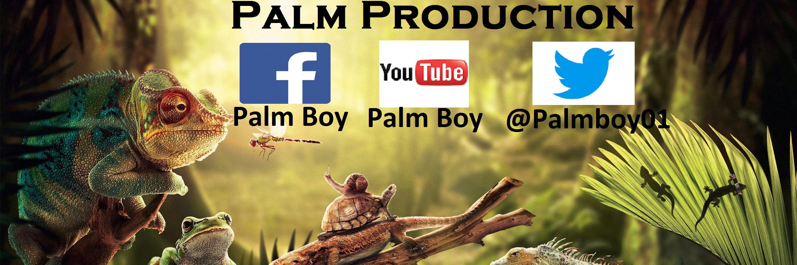 palmboy01's profile banner image