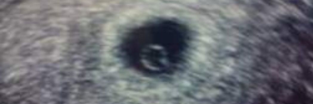 mustacay65's profile banner image