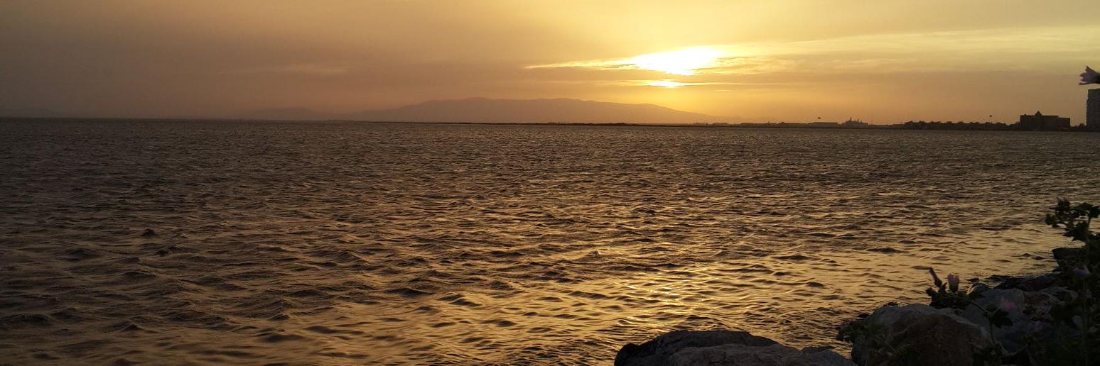 nicklazim's profile banner image