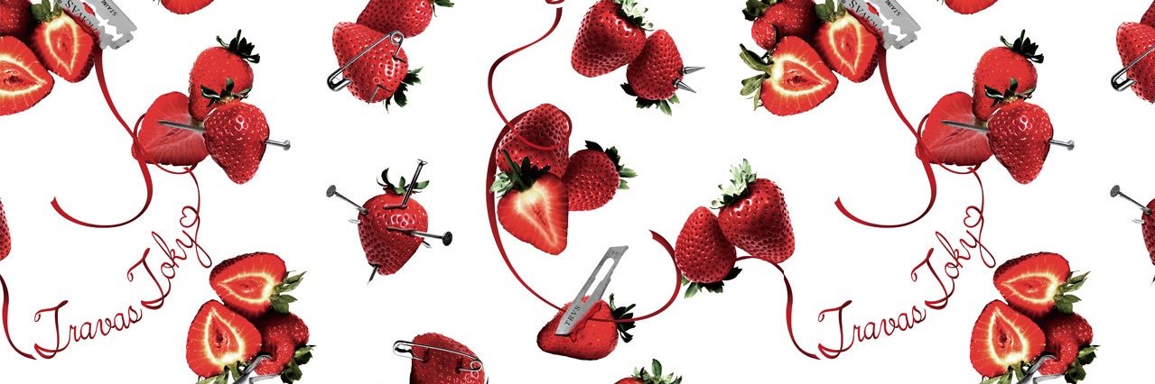 蝶子 mariposa banner