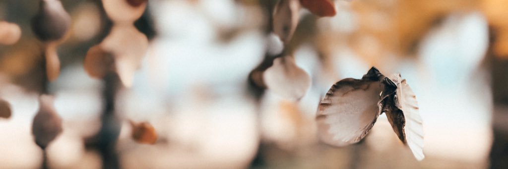 Nikki Dela Cruz banner