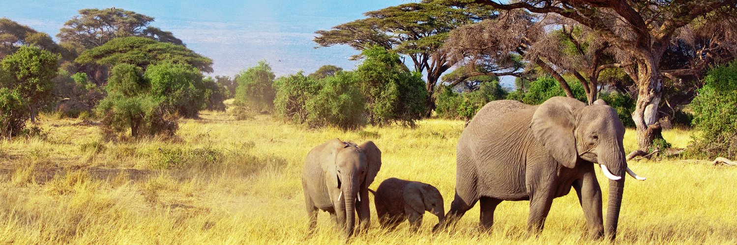 WildDiscoveryME's profile banner image