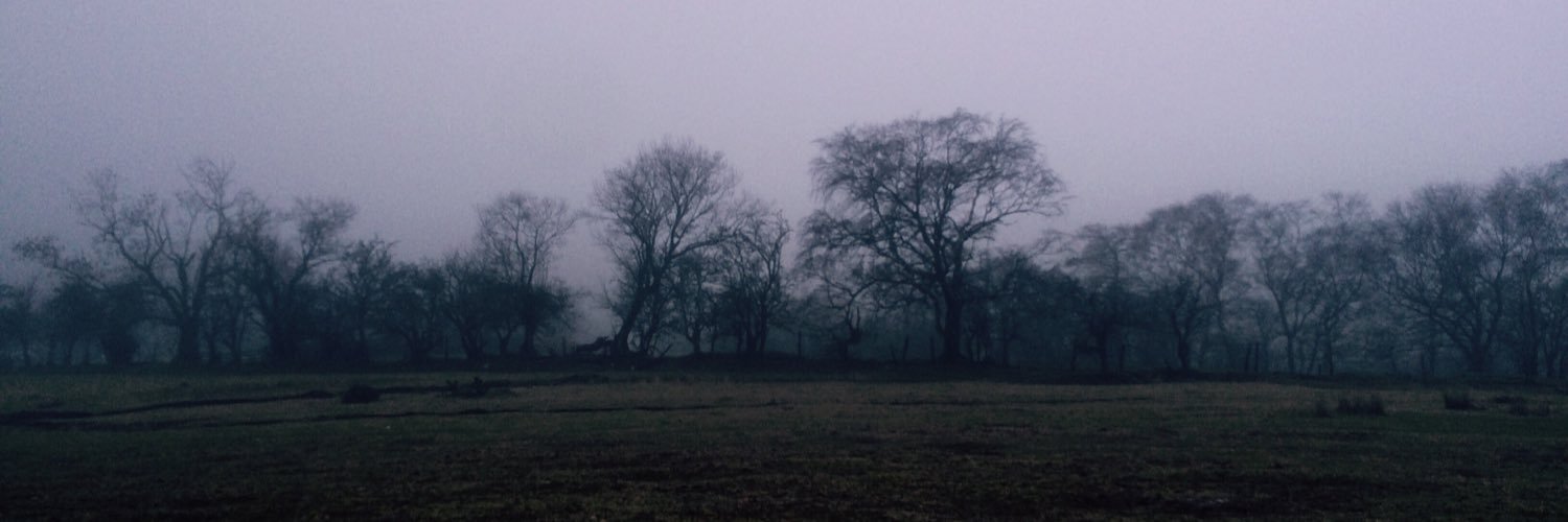 donnahorrigan0's profile banner image