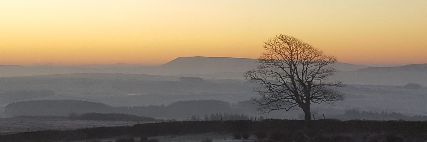 Sanphy Thomas banner