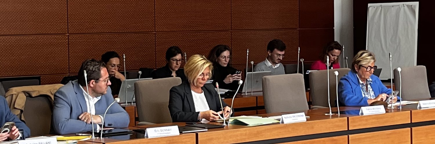 Nathalie Drobinoha banner