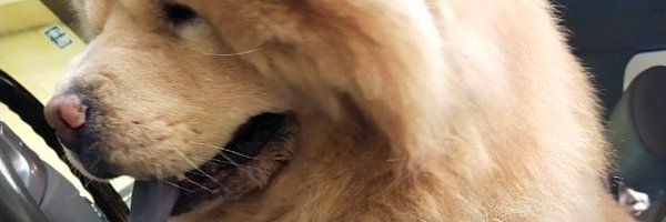 gapolicarpio Profile Banner