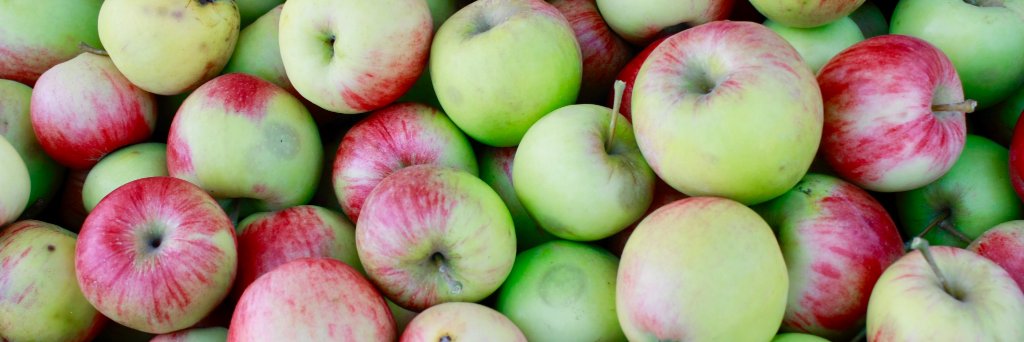 Anelyse Weiler banner