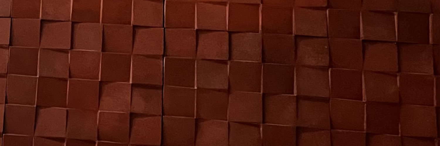 laralbrnz's profile banner image