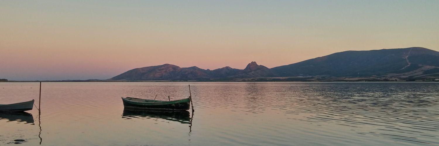 Stefano Cannas banner