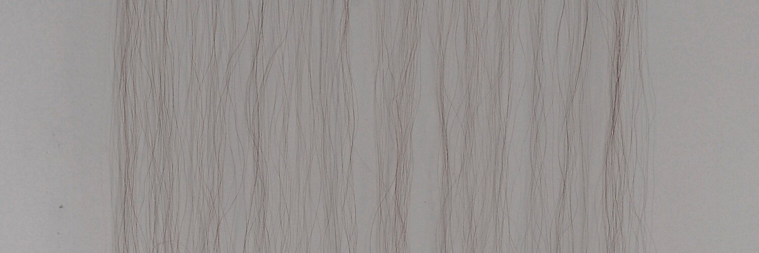 LisaSnook1's profile banner image