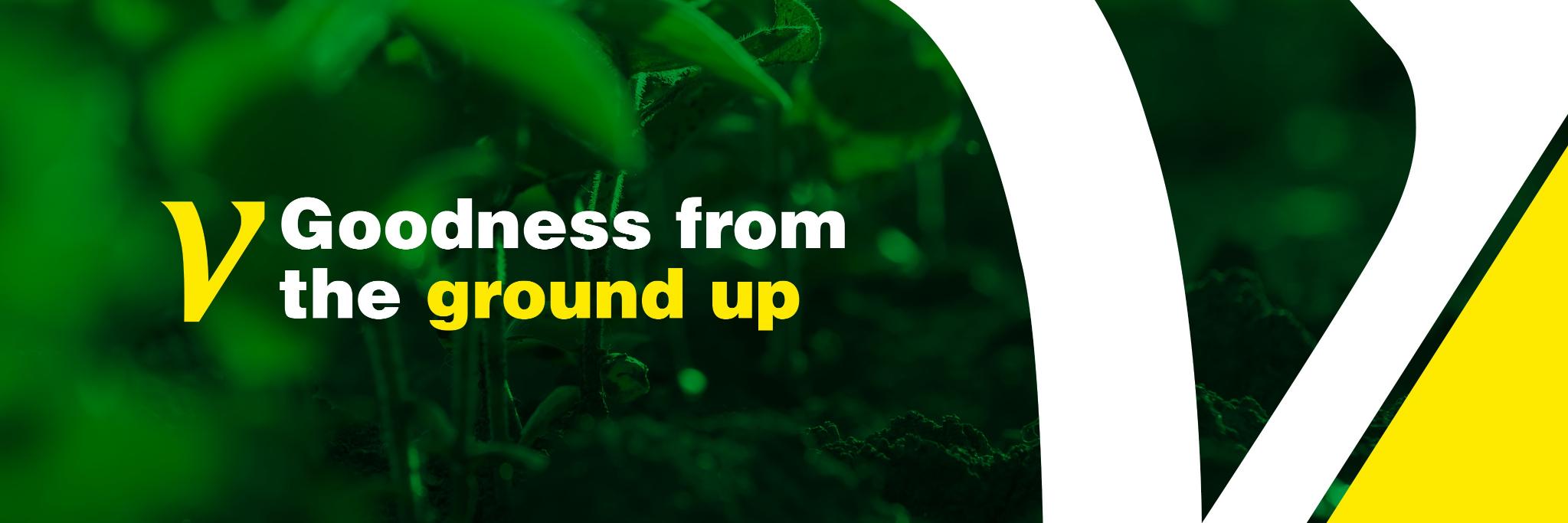 Veganicity's profile banner image