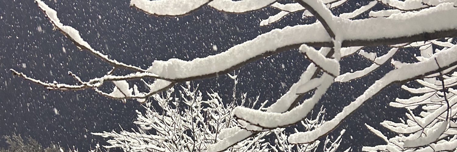 Rosiduh's profile banner image