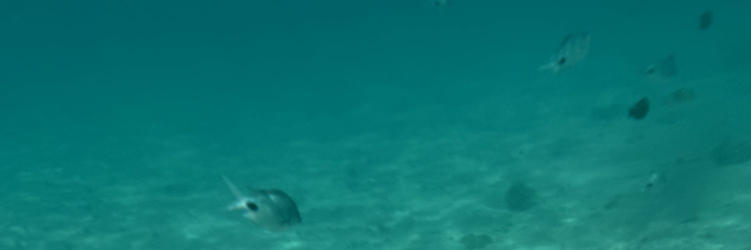 SharsheyevIsken's profile banner image