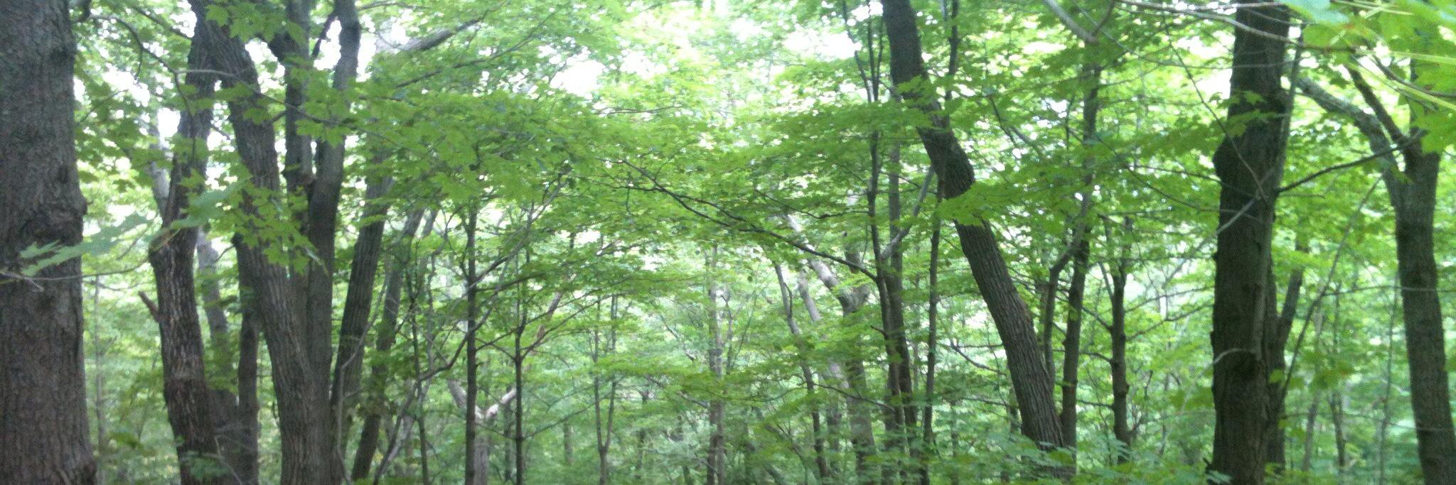 Dr. Megan Kiedrowski banner