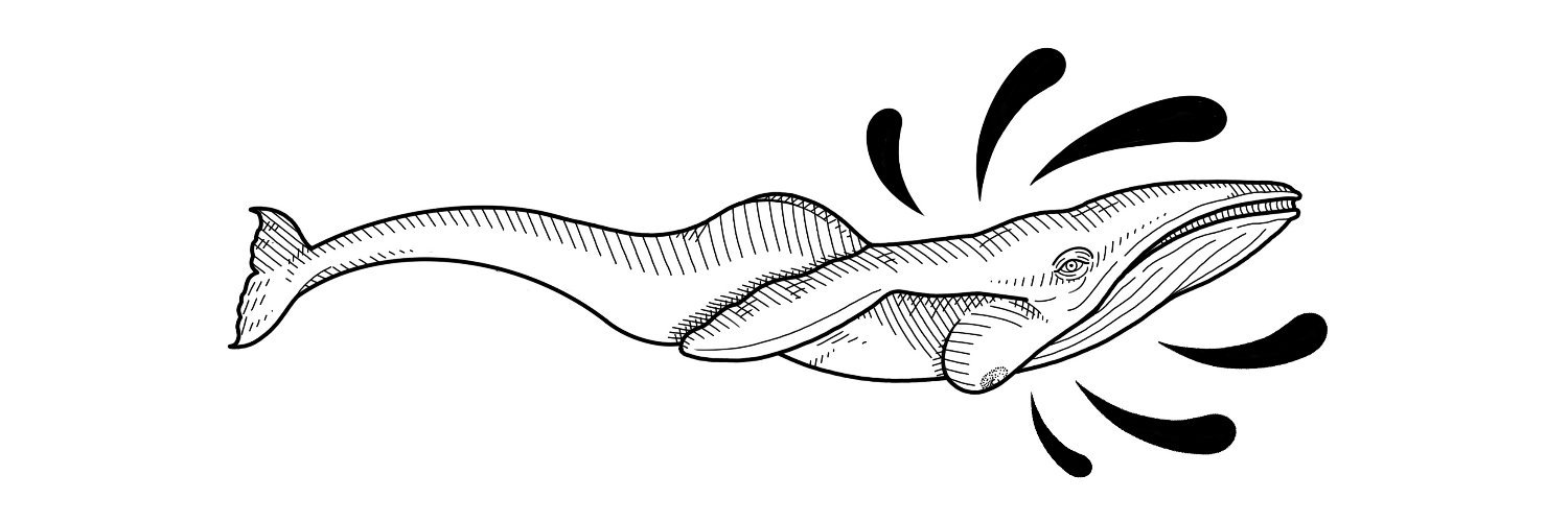 NickWhybrow's profile banner image