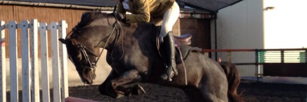 paula20380 Profile Banner