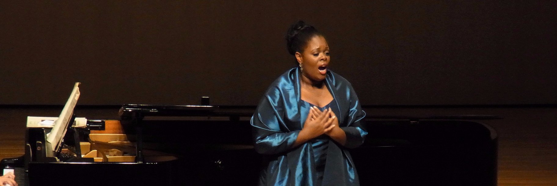 Sarah-Jane Lewis banner