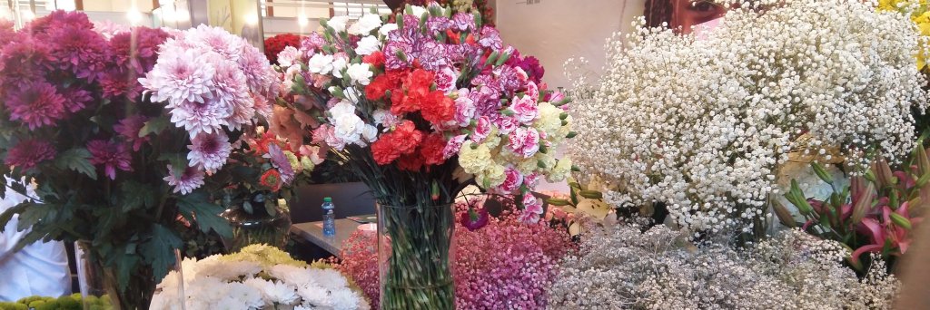 flowerskenya's profile banner image