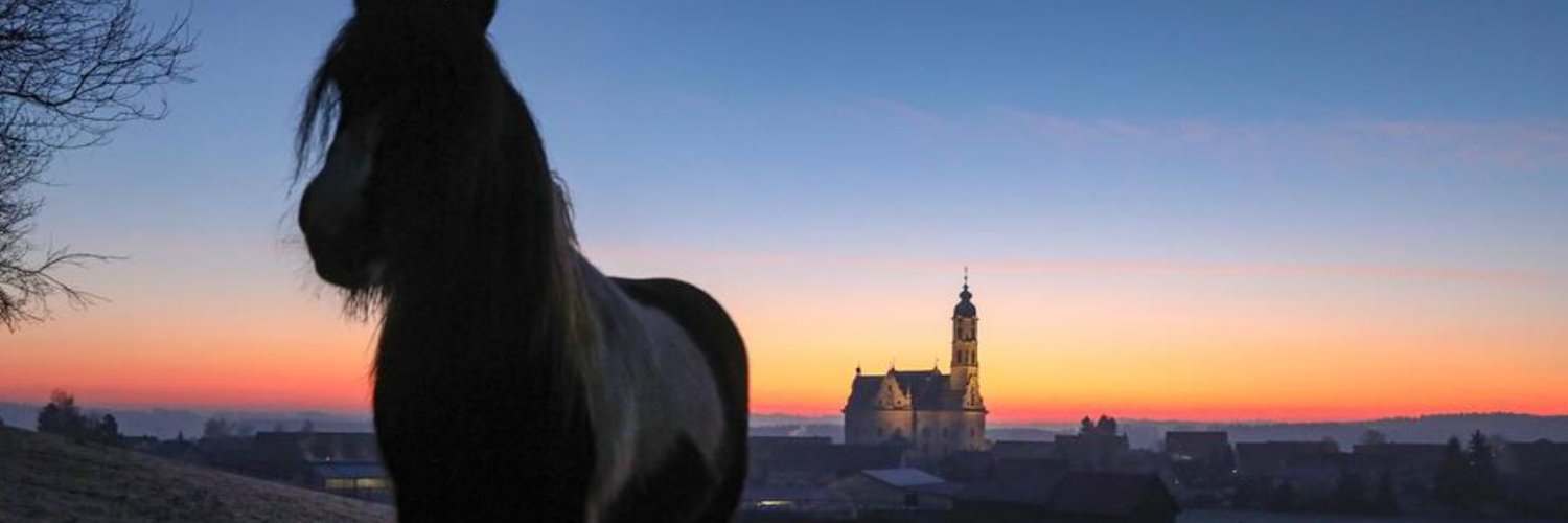 ReneRocholl's profile banner image