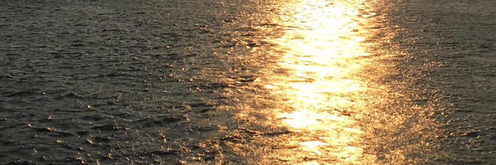 MichaelDegrez's profile banner image