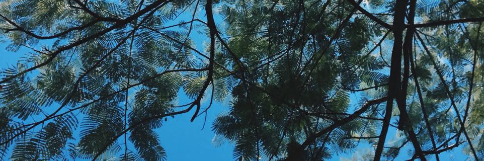 Ilopes_'s profile banner image