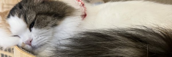 JamesMarion20 Profile Banner