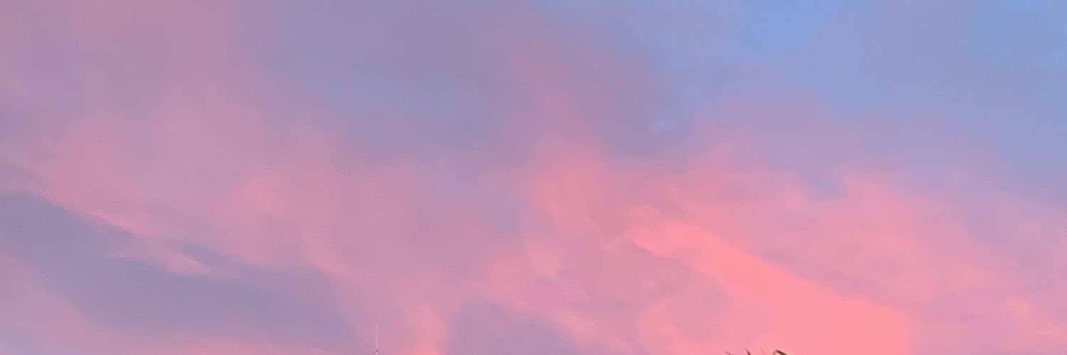 chavezpaulina2's profile banner image
