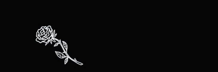 MariaFbk's profile banner image