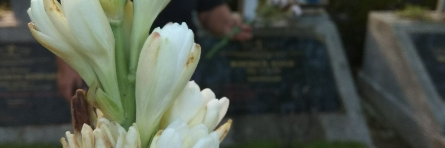 yoanmarsella's profile banner image