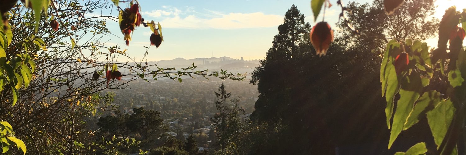 dandynandy's profile banner image