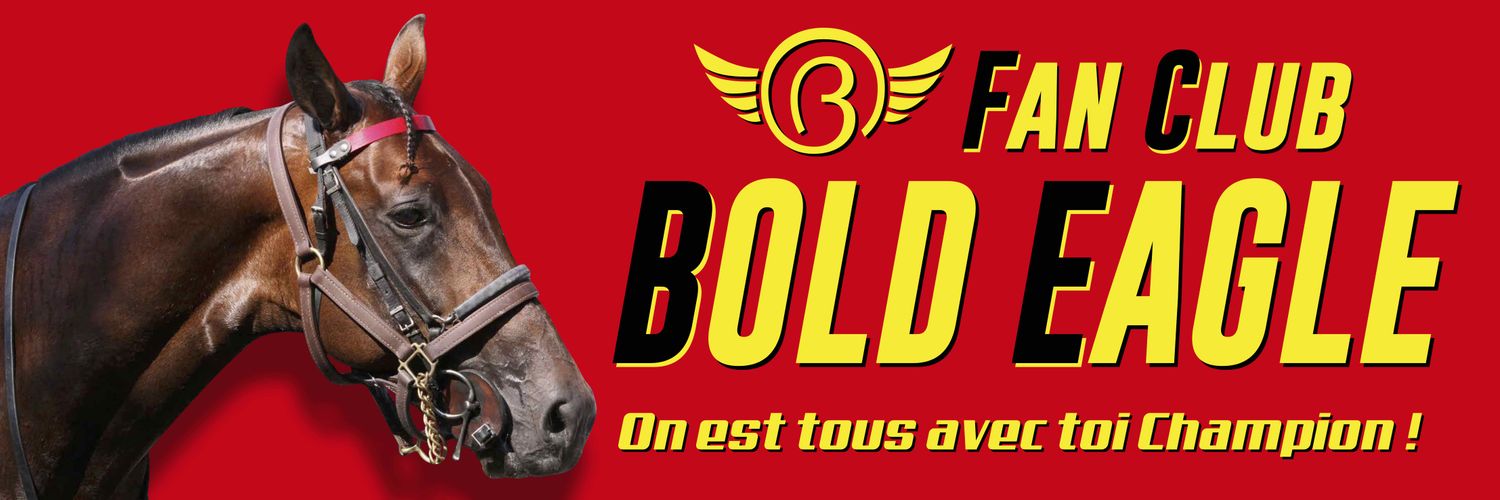 BOLDsupporters's profile banner image