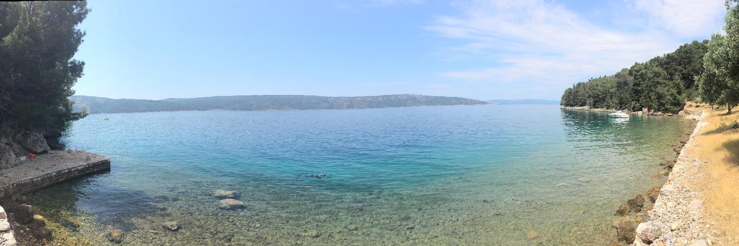 Gerhard Mueller banner