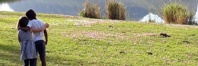 fsford's profile banner image