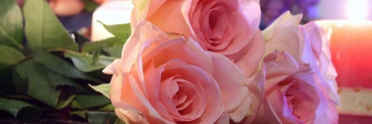 sarasarooo's profile banner image