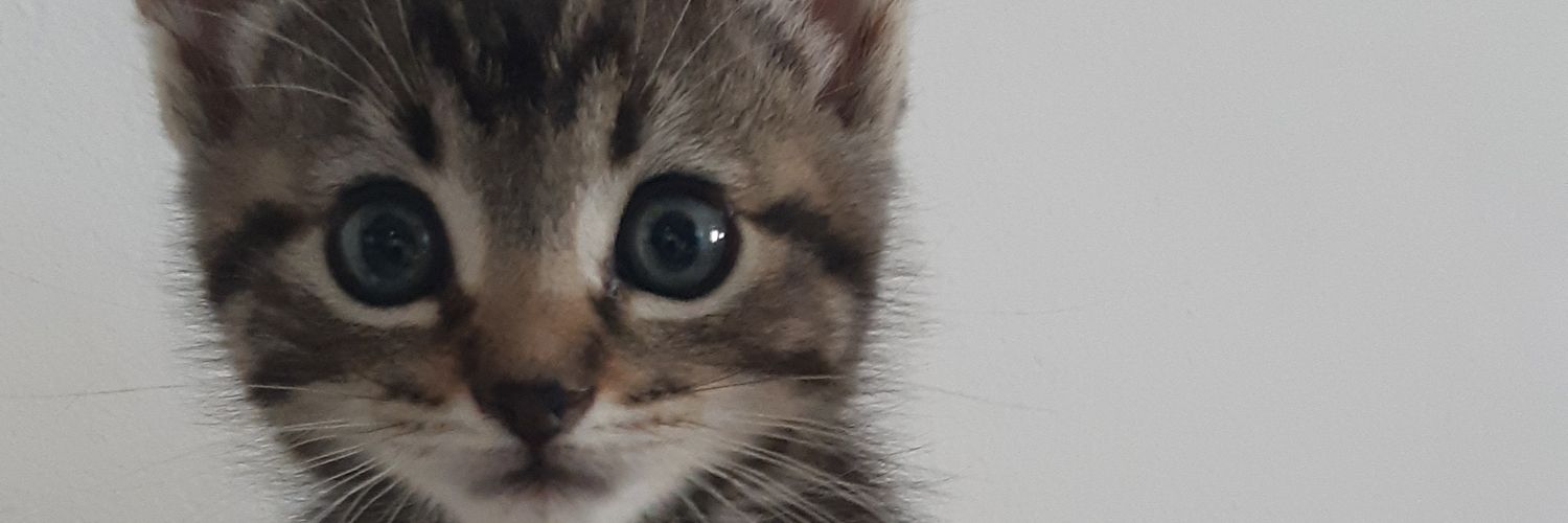 tonyojando's profile banner image