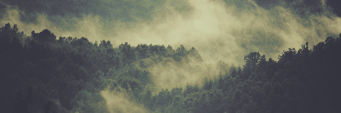 Ctryller's profile banner image