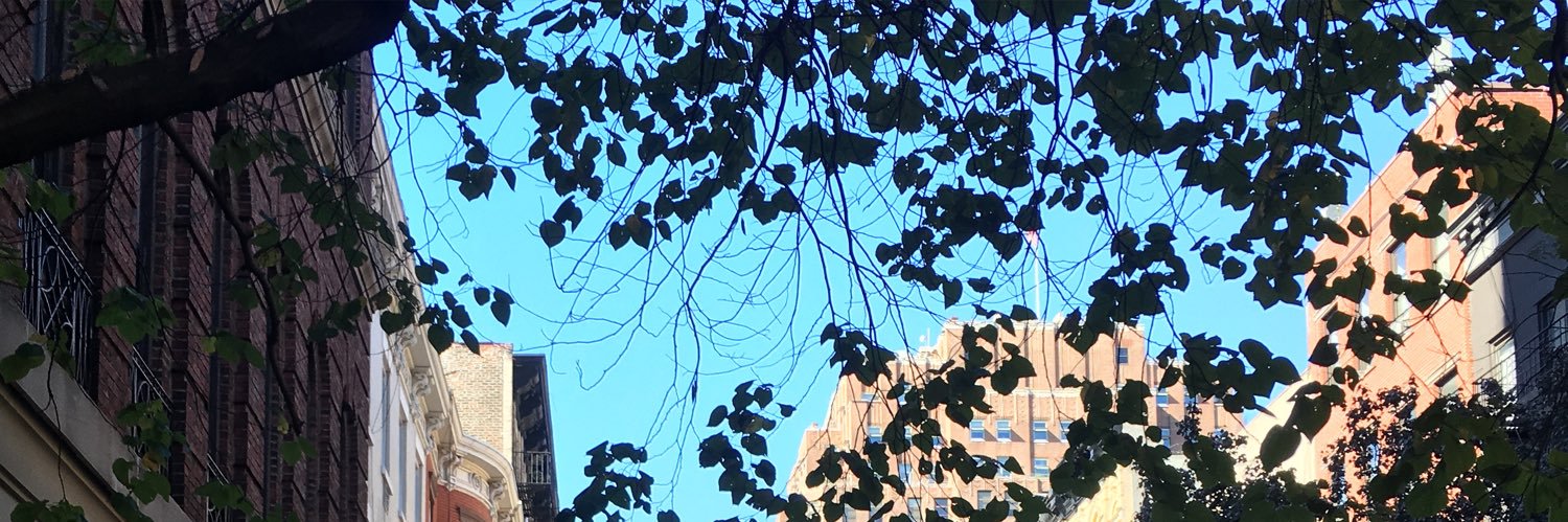 진램 banner