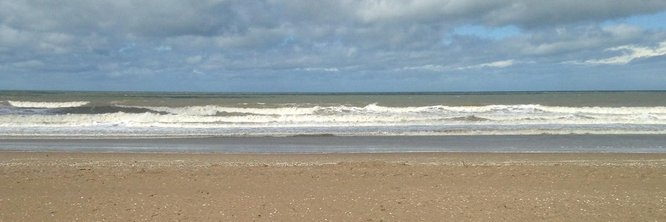 Frédéric Simottel banner