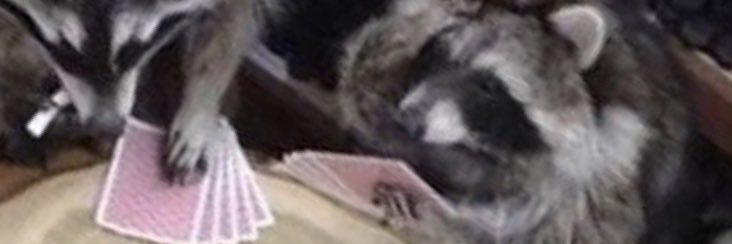 ExpensiveWallet's profile banner image