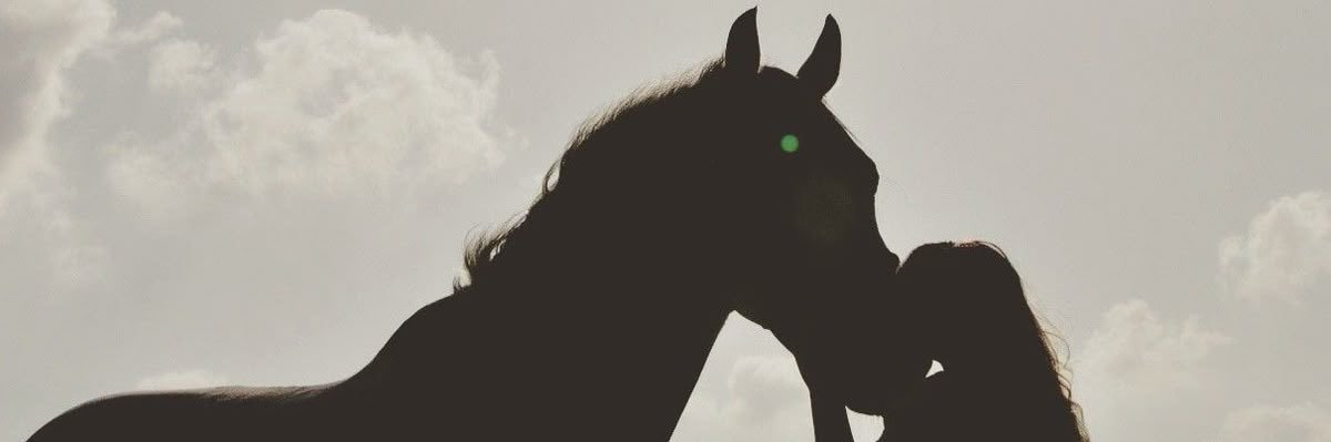 Busraayksl's profile banner image