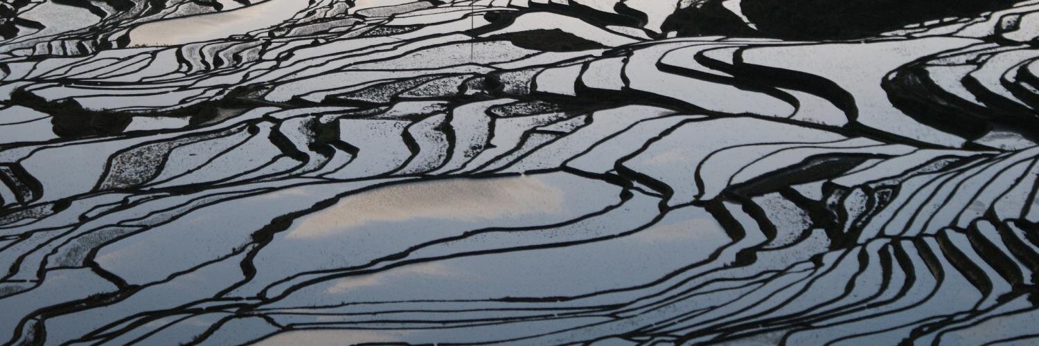 SGrumbach's profile banner image