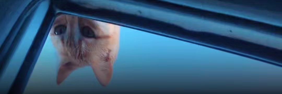 Dwidar2001's profile banner image
