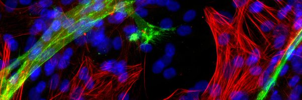 GraysonLab Profile Banner