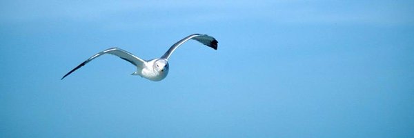 MathieuGrizard Profile Banner