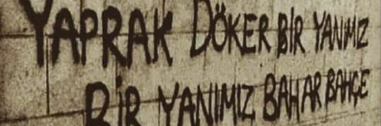 TurayibRhm's profile banner image